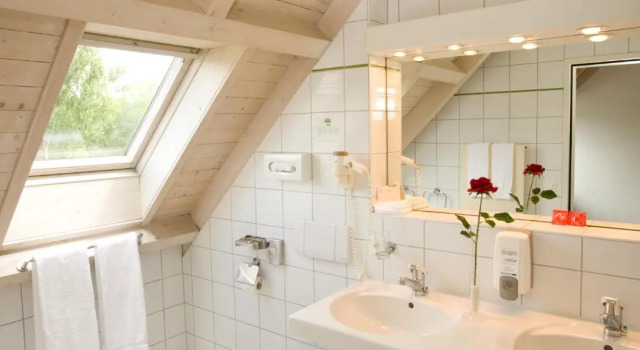 Номер Standard Hotel Conti Dietikon