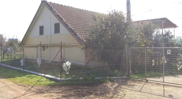 Вилла Mallios Home near Ancient Olympia