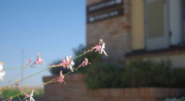 NaturalMente Wine Resort