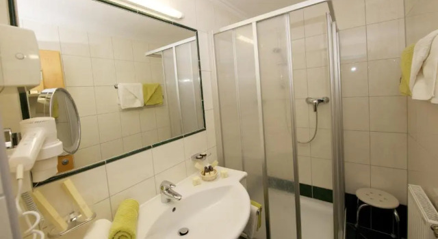 Номер Standard Hotel Tristkogel
