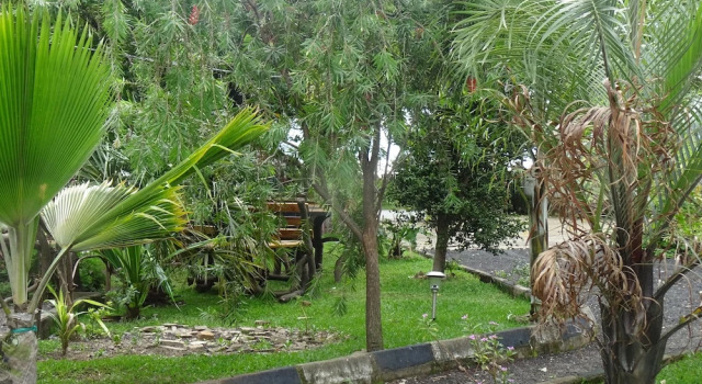 Camera Comfort Kivu Beach Garden