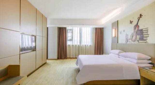 Люкс Deluxe Vienna Hotel (Dongguan Qingxi Hongxin)