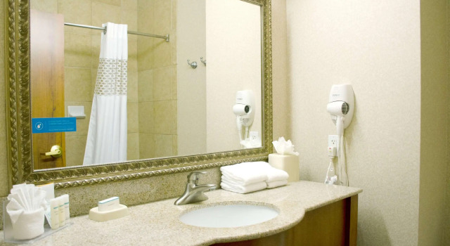 Четырёхместная студия Hampton Inn & Suites College Station