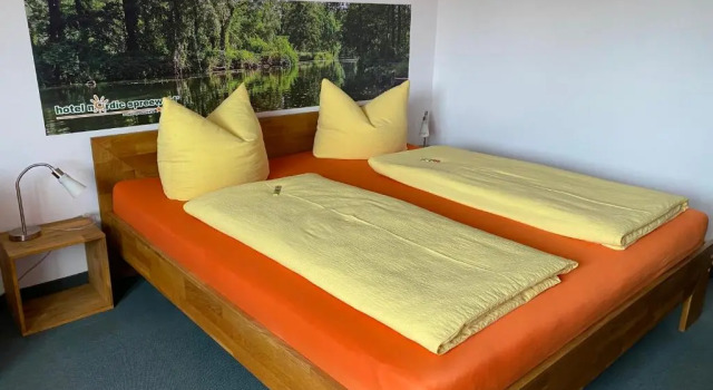 Двухместный номер Standard Hotel Nordic Spreewald
