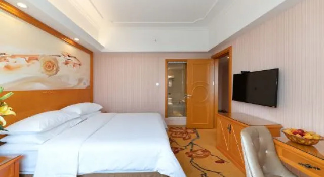 Люкс Business Vienna Hotel Guangxi Tianyang Ancient City High-Speed Railway Station