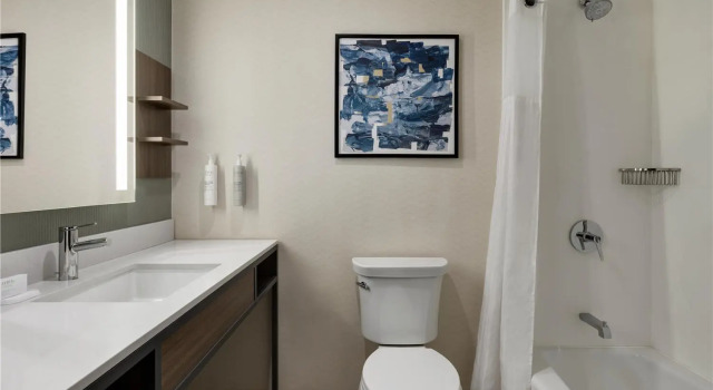 Номер Standard Hilton Garden Inn Riverhead
