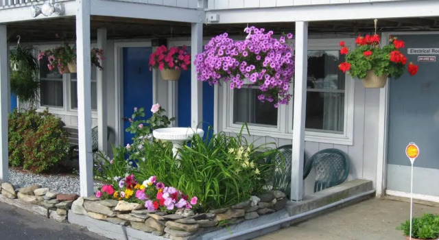 Двухместный номер Economy Sea Whale Motel