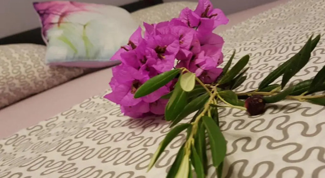 Студия Cro Behar 2 Apartments