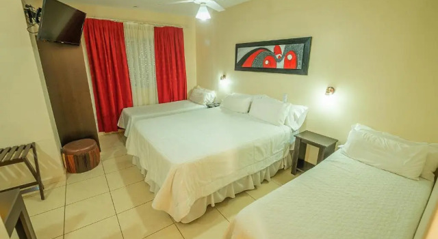 Номер Standard Apart Hotel Ayres De Termas