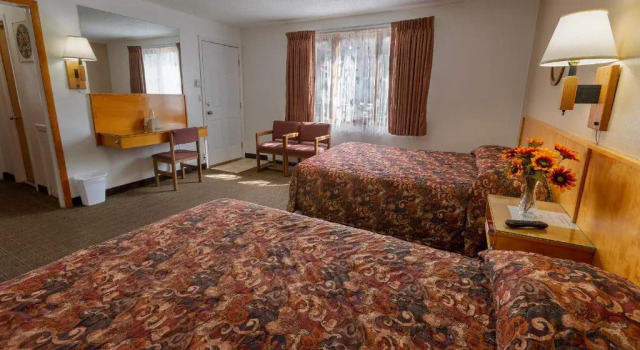 Люкс Starlight Lodge
