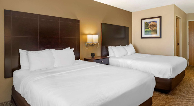 Четырёхместный номер Standard Comfort Inn & Suites Paw Paw