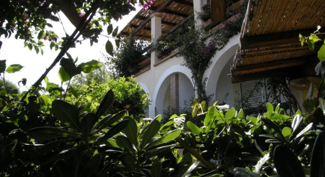Апартаменты c 1 комнатой Le Bouganville Rooms Suites and Apartments