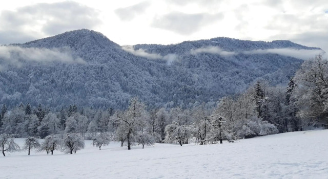SOBE U SIRRC, Prenota Hotel Bled 