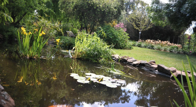 Stableford House Bed and Breakfast, Rezerwuj Hotel Howlong Murray River