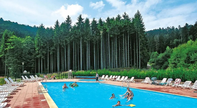 Апартаменты Res. Les Fontaines des Vosges, Saales, 4 Room apt