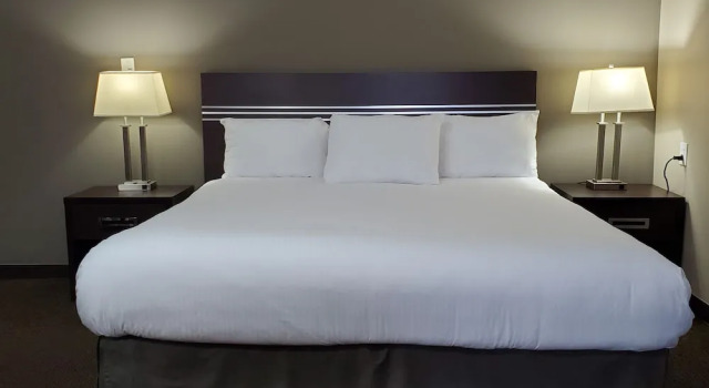 Номер Standard Royal Lodge