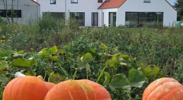 DOS22 Vakantiewoning I De Haan Wenduine, Prenota Hotel Hotel a Flanders con parcheggio, Parcheggio