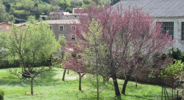 Коттедж CASA DE JULIO MARROQUIN