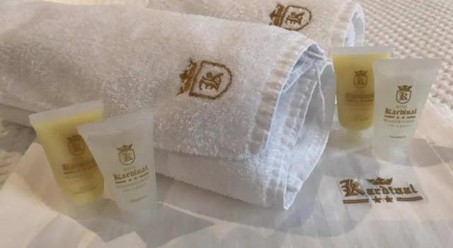 Двухместный номер Standard Hotel Kardinal