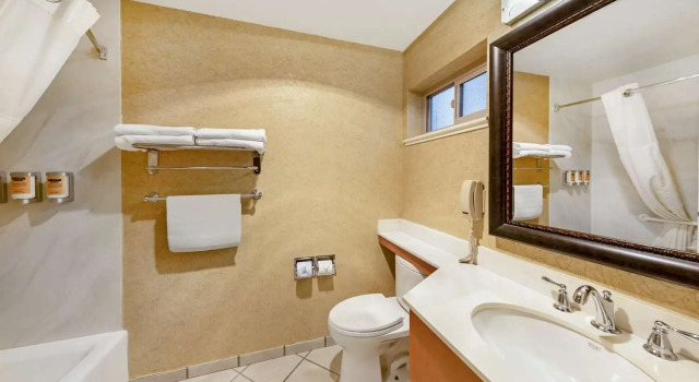 Двухместный номер Superior Best Western Plus Black Oak
