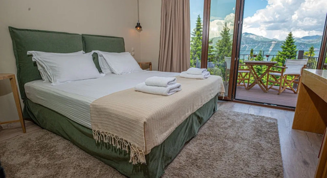 Двухместный номер Standard с балконом и с видом на горы Anavasi Mountain Resort