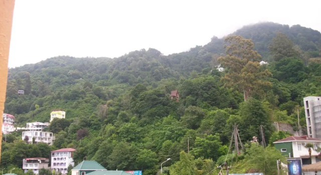 Номер Economy Hotel Costa Rica