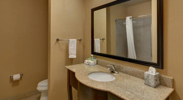 Run of House Country Inn & Suites by Radisson, Tyler University Area