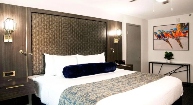 Двухместный номер Standard Verta Hotel McAllen Airport