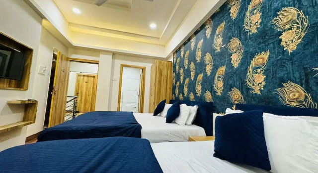 Номер Standard Shree Maa Kripa Guest House