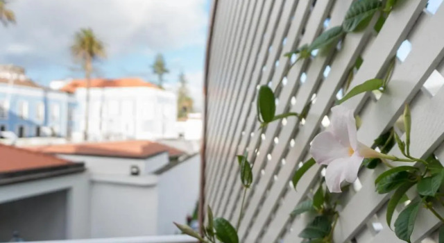 Номер Deluxe Casa das Palmeiras Charming House - Azores 1901