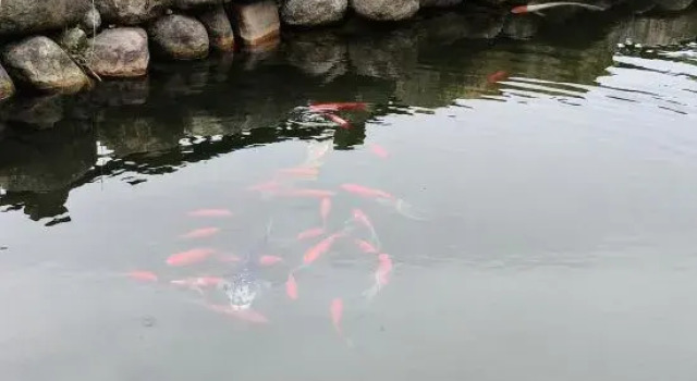 Yuexian Homestay, Prenota Hotel Hotel a Chizhou con parcheggio, Parcheggio