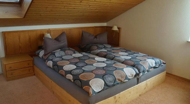 BodenSEE Apartment Friedrichshafen "DACHTERRASSE", Забронировать Апартаменты/квартира Фридрихсхафен Баден-Вюртемберг, рядом с Школьный музей