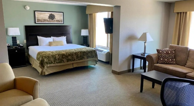 Люкс Comfort Inn & Suites Frisco East - McKinney