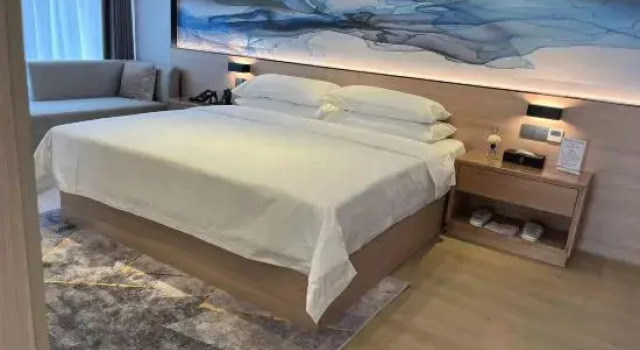 Люкс Le 8 Holiday Hotel (Zhengzhou Erqi Wanda Plaza)