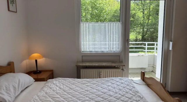 Ferienwohnung, Hahnenklee