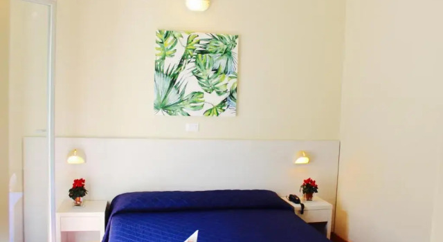 Двухместный номер Standard Hotel Fedora Rimini