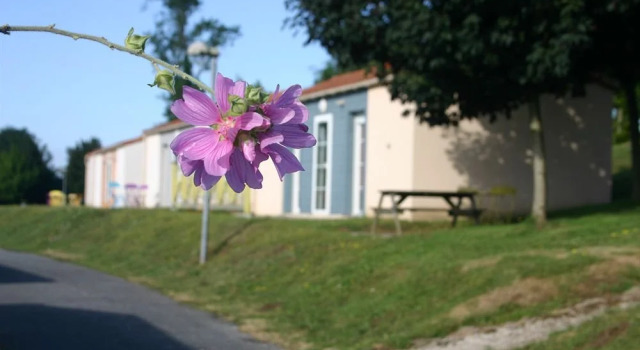 Residence du Bocage, Забронировать Отель Лез-Эпес Замок Пюи-дю-Фу