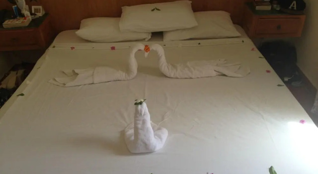 Двухместный номер Standard Gardenia Plaza