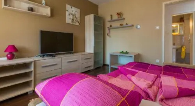 Apartment Ilona