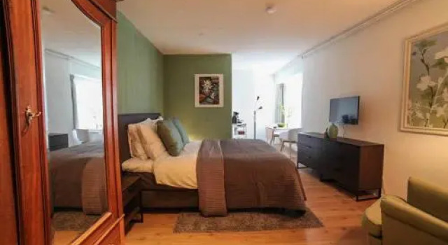 Pleasant Studio in the City Center