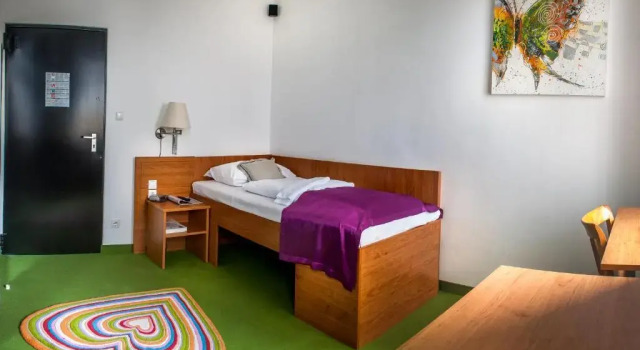 Одноместный номер Classic Donauwalzer BoutiqueHOTEL Donauwalzer