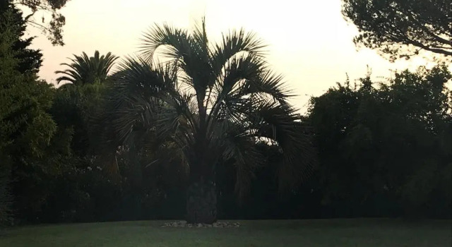 Вилла с 5 комнатами Belle villa dans clos privé - Saint Raphaël Boulouris