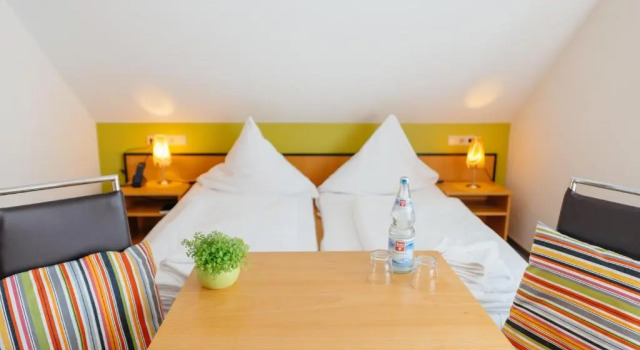 Standard single cameră Hotel Rhönhof