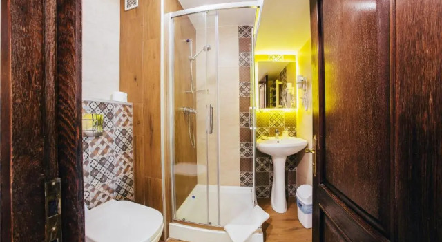 Одноместный номер Superior Hotel Best Western Bucovina
