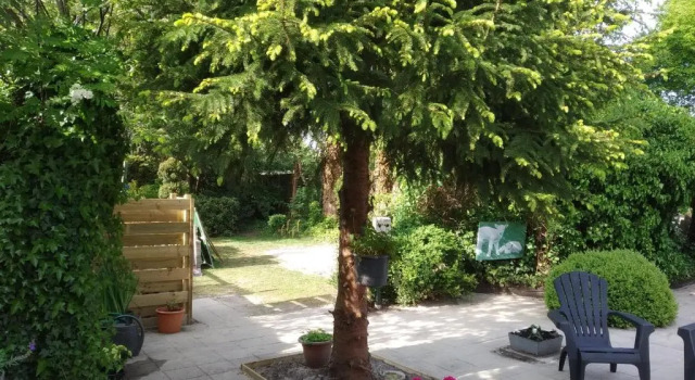 Номер Standard Bed & Breakfast Zuidlaren