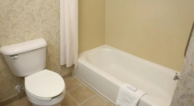 Четырёхместный номер Standard Hampton Inn Manning