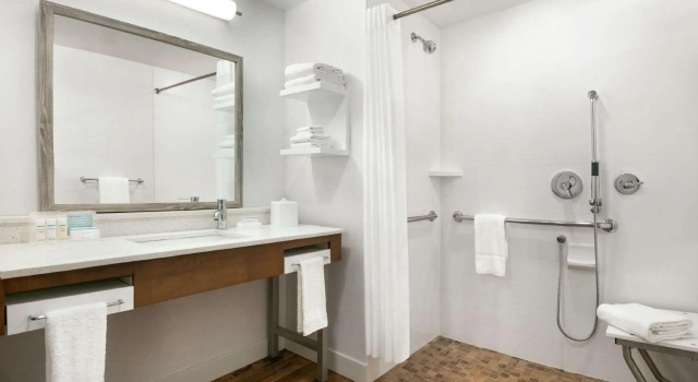 Двухместный люкс Hampton Inn And Suites By Hilton Johns Creek