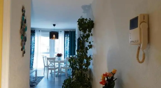 Colmar Sweet Home