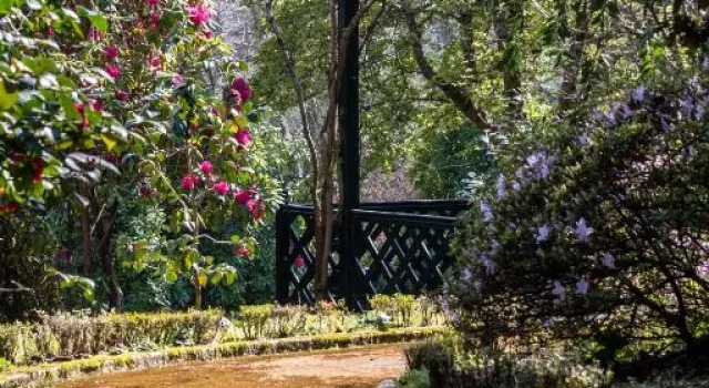 Quinta de Mourães Casa dos Rododendros, Boek Hotel Lever Douro