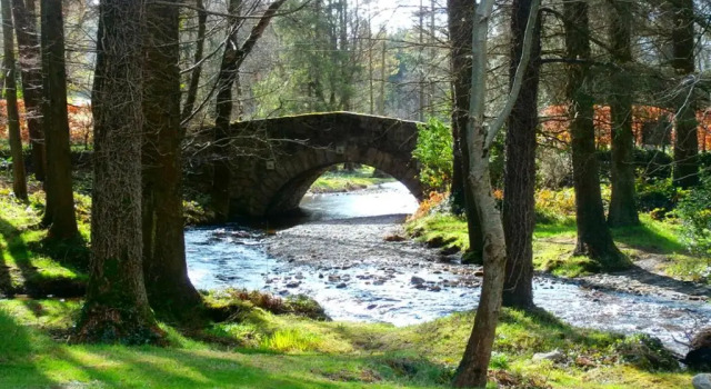 Двухместный номер Standard BrookLodge & Macreddin Village
